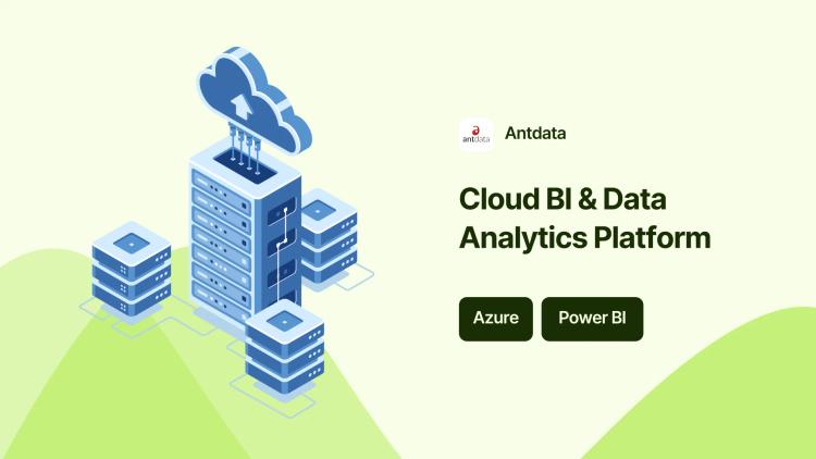Enterprise BI & Analytics Platform on Azure for Plant-Based Food Company image
