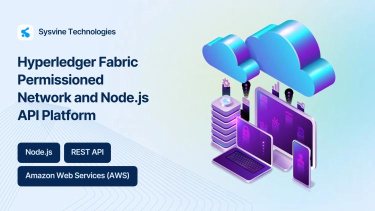 Preview of the Hyperledger Fabric Permissioned Network and Node.js API Platform