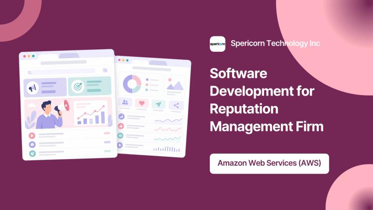 Preview of the Software Development for Reputation Management Firm