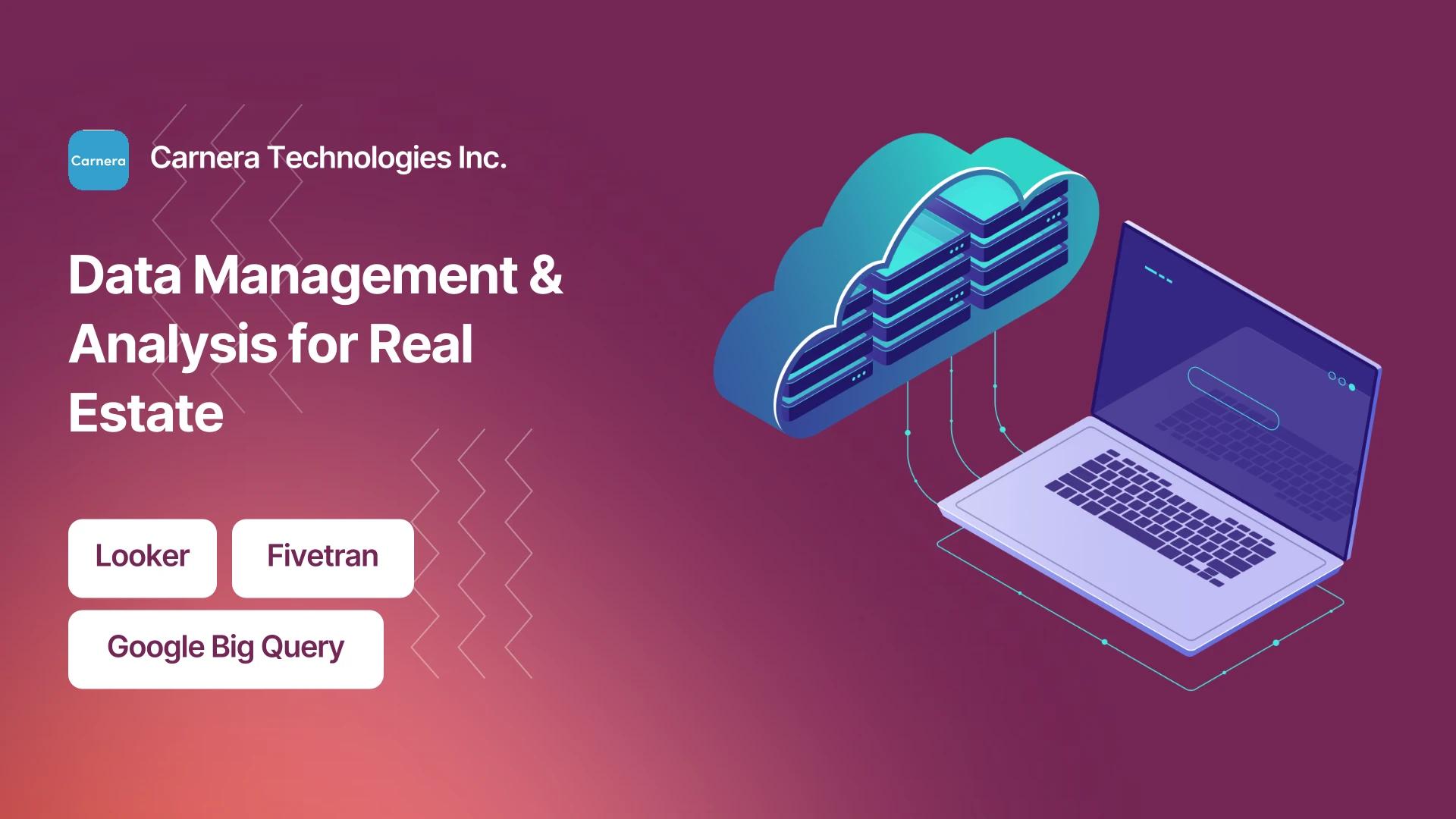 Project hero — replace with case study imagery