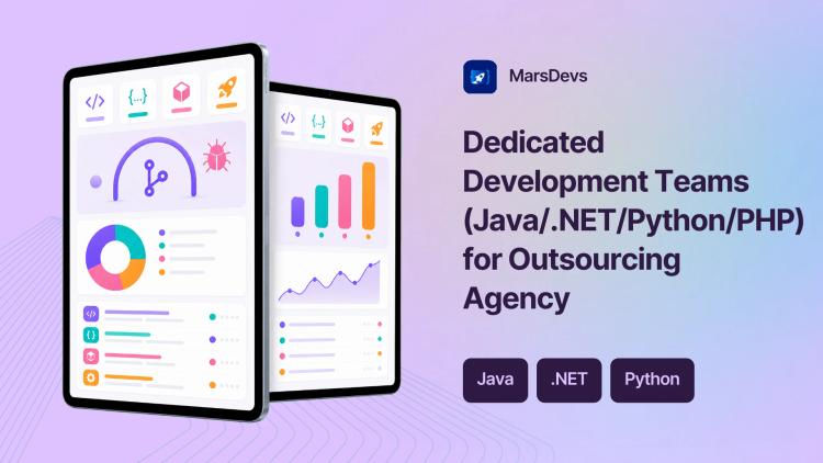 Preview of the Dedicated Development Teams (Java/.NET/Python/PHP) for Outsourcing Agency