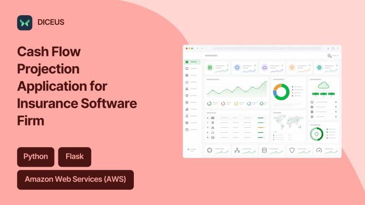 Preview of the Cash Flow Projection Application for Insurance Software Firm