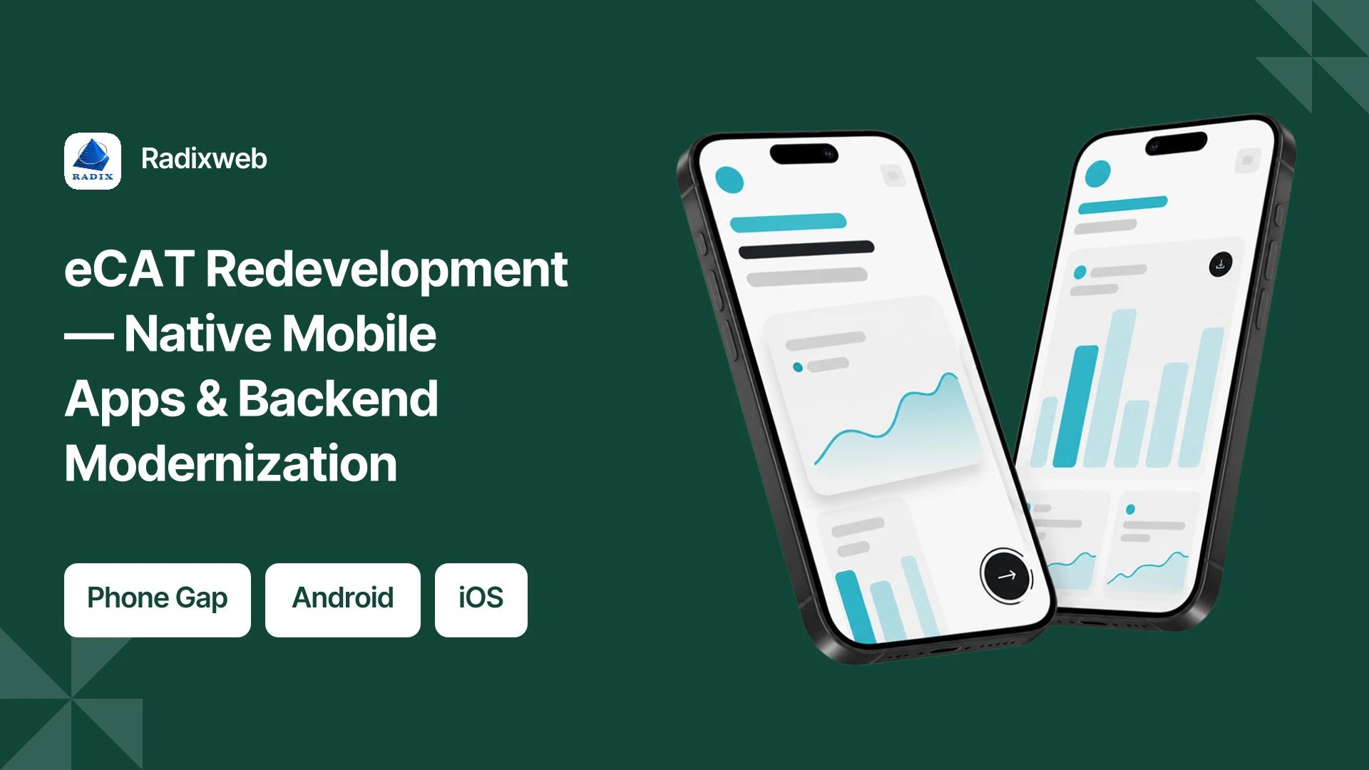 Project hero — replace with case study imagery