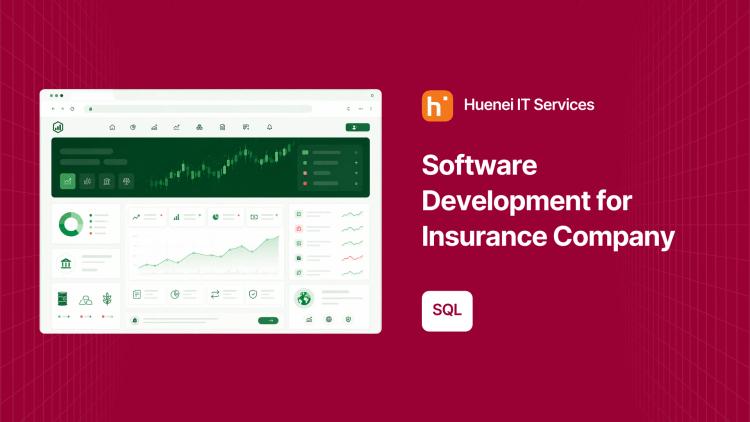 Preview of the Software Development for Insurance Company