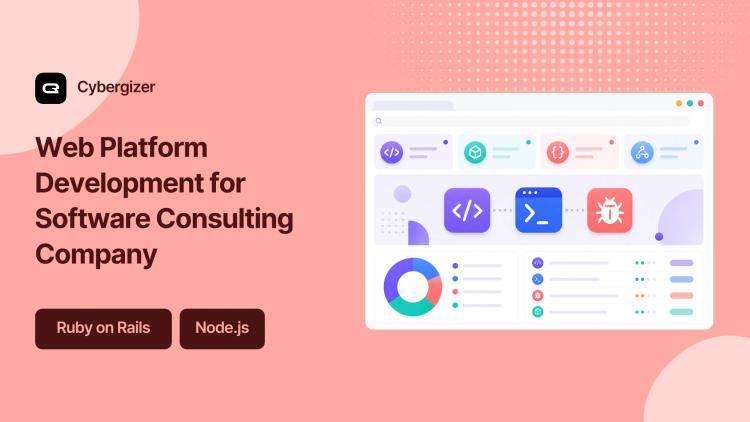 Preview of the Software Consulting Company Web Application Development