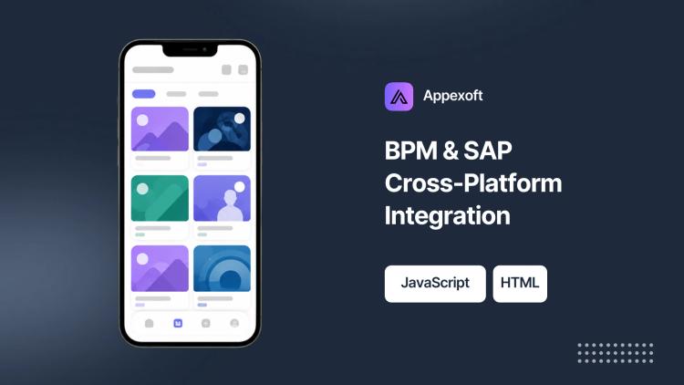 Preview of the Custom Software Development for NextBPM (BPM/SAP Integration)