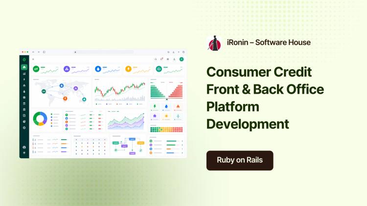 Consumer Credit Management Software Development image