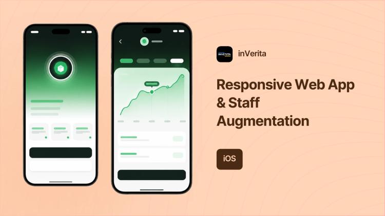 Preview of the Responsive Web App and Staff Augmentation for Software Consultancy