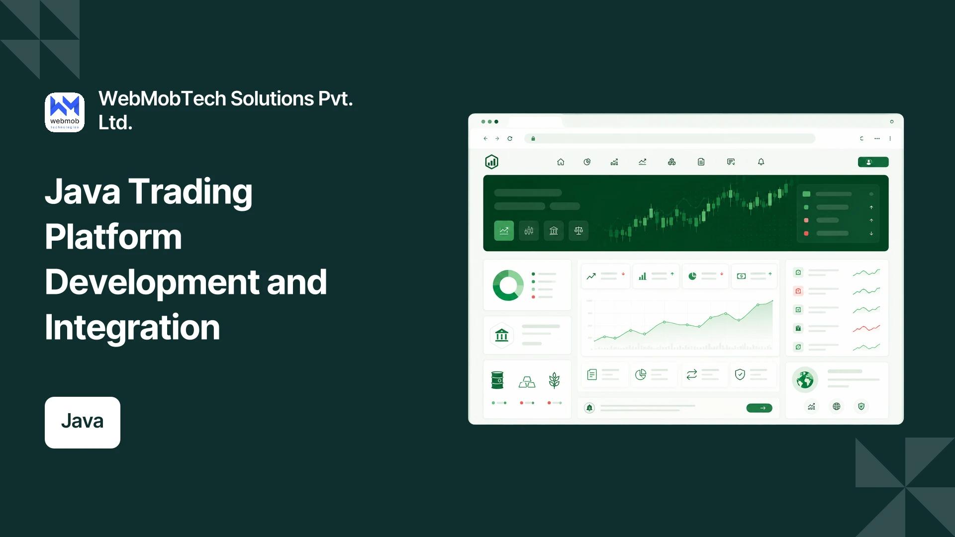 Project hero — replace with case study imagery