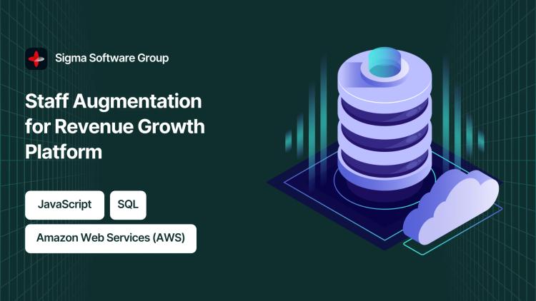 Preview of the Staff Augmentation & Platform Development for Revenue Amplification Firm