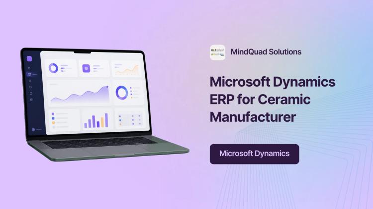 Preview of the Microsoft Dynamics ERP Implementation for Sunhearrt Ceramic