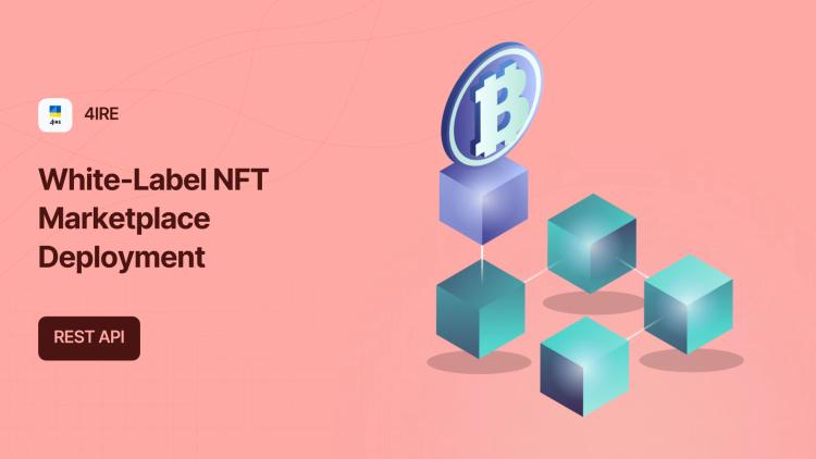 EVM-Compatible NFT Marketplace Development image