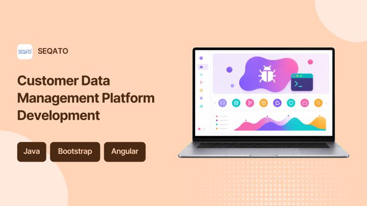 Preview of the Customer Data Management Platform Development