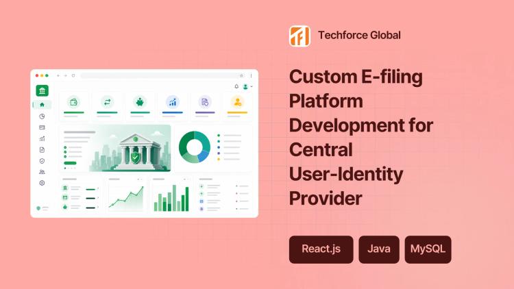 Preview of the Custom E-filing Platform Development for Central User-Identity Provider