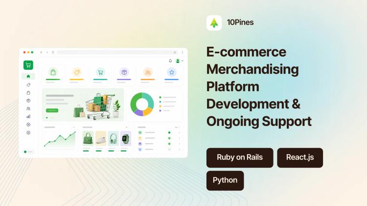 Preview of the E-commerce Merchandising Platform Development & Ongoing Support