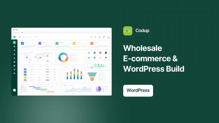 Preview of the E-commerce & WordPress Development for Instent Industries