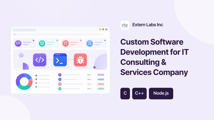 Preview of the Custom Software Development for IT Consulting & Services Company