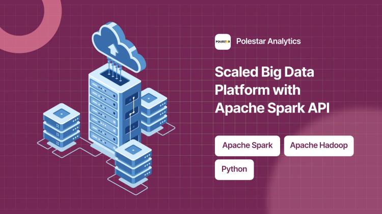 Preview of the Big Data Scaling & Apache Spark API for Digital Risk Management Company