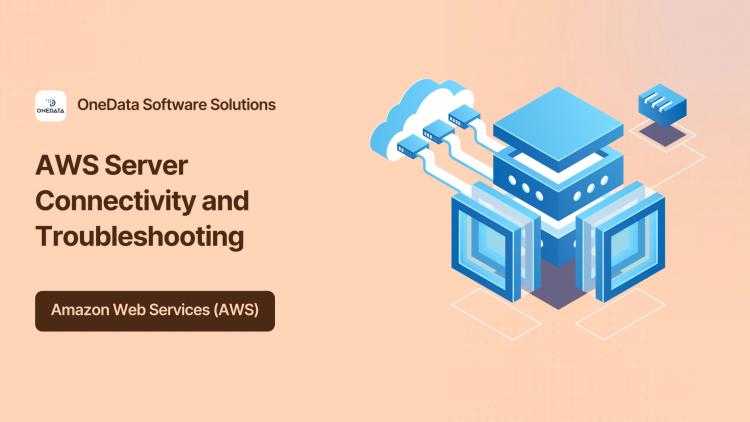 Preview of the AWS Server Connectivity and Troubleshooting