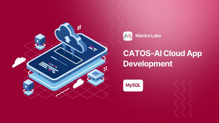 Preview of the CATOS-AI Cloud Application Development for Sostos Inc