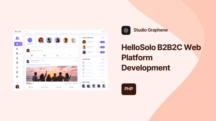 Preview of the HelloSolo B2B2C Web Platform Development
