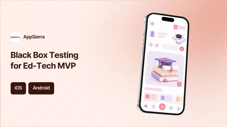 Preview of the Black Box Testing for Ed-Tech MVP