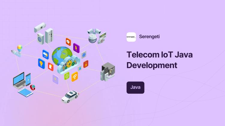 Preview of the Senior Java Development for Telecom IoT Platform