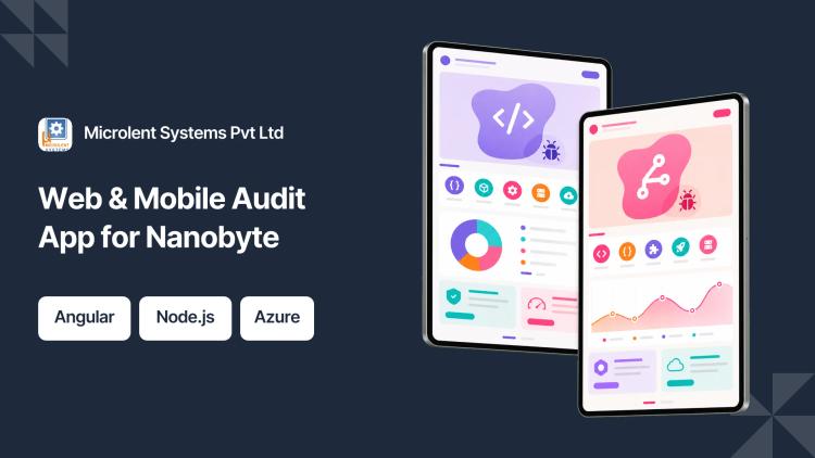 Preview of the Audit Software Development for Nanobyte
