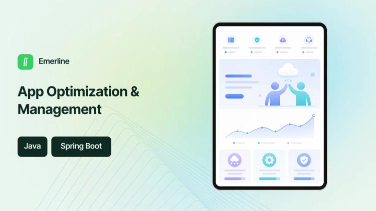 App Optimization & Management for IT Consulting Firm image