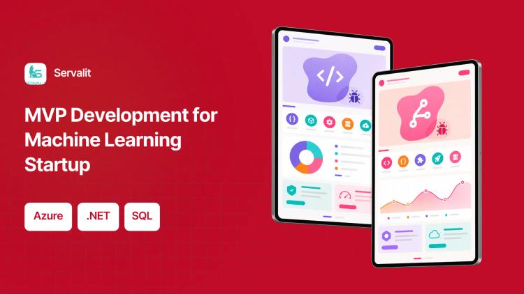 Preview of the MVP Development for Machine Learning Startup