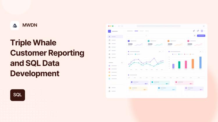 Preview of the Custom SQL & Reporting for Triple Whale