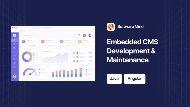 Preview of the Embedded Content Management System Dev and Maintenance