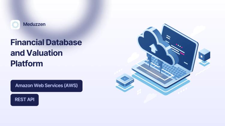 Preview of the Financial Database & Stock Valuation Platform for Investment Firm
