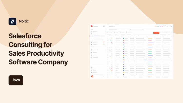 Preview of the Salesforce Consulting for Sales Productivity Software Company