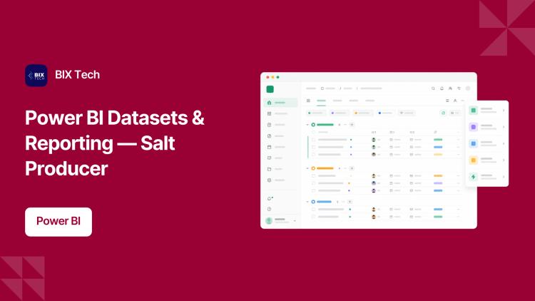 Preview of the Power BI Analytics for SALINOR (Salt Producer)