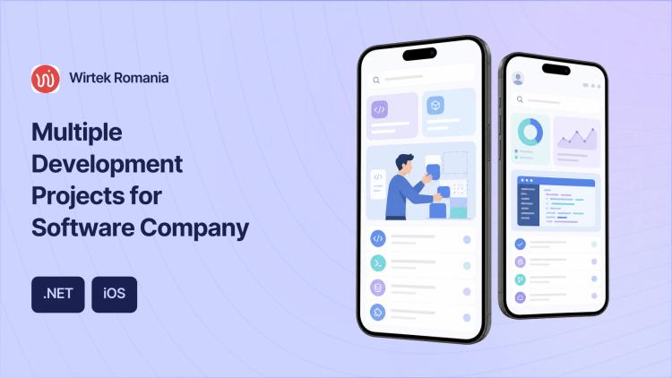 Preview of the Multiple Development Projects for Software Company