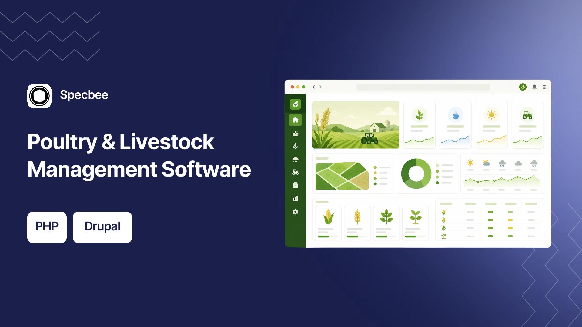 Project hero — replace with case study imagery