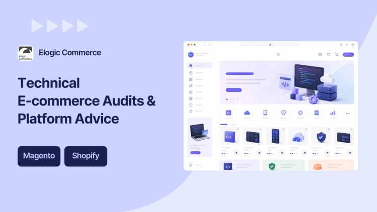 Preview of the E-commerce Technical Audits & Platform Consulting