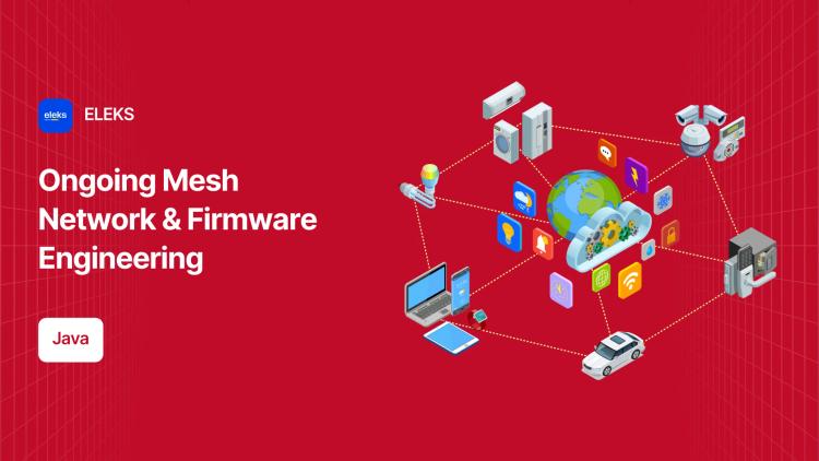 Mesh Network, Backend & Firmware Development image